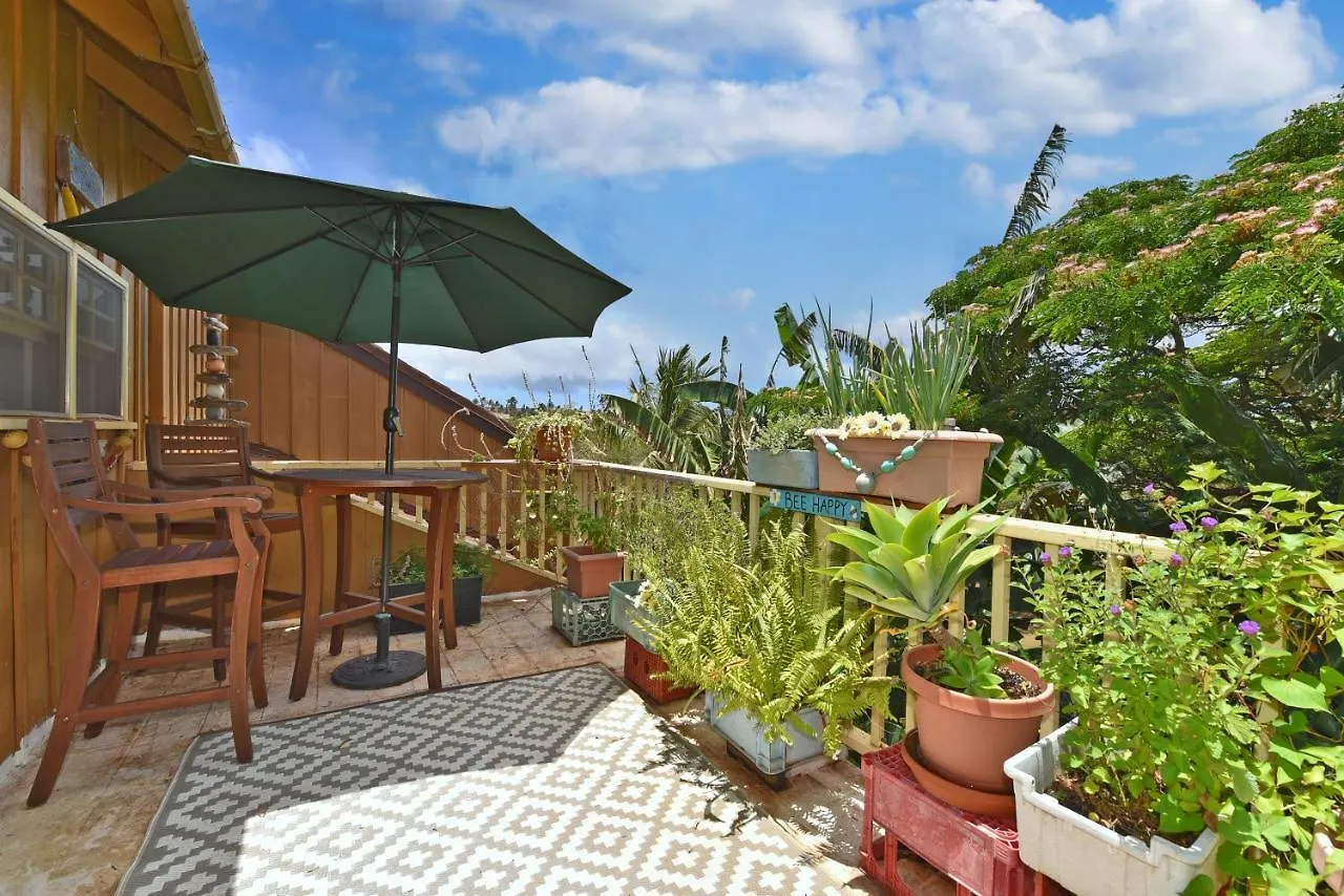 Molokai, Hawaii - Beautiful Beachfront Townhouse - Longterm Or Shorterm Rental Maunaloa Holiday home